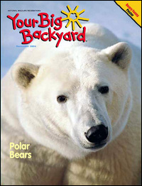 Your Big Backyard
