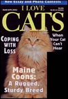 I Love Cats