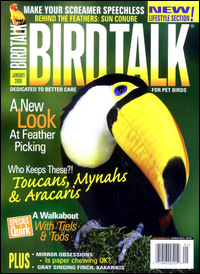 Bird Talk
