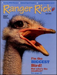 Best Price for Ranger Rick Magazine Subscription