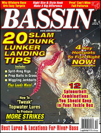Bassin'