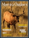 Montana Outdoors