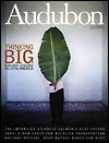 Audubon